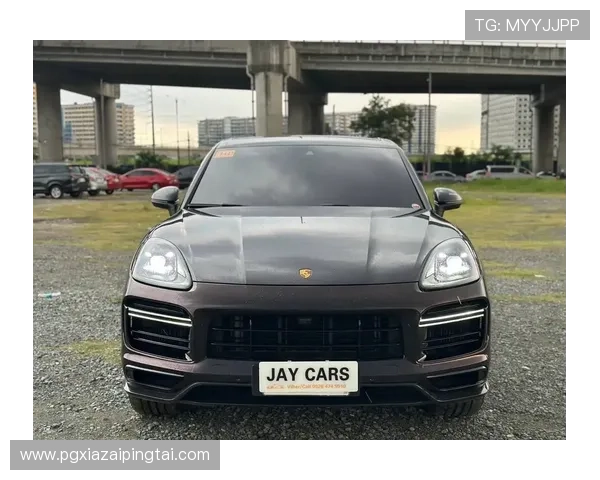 保时捷PG娱乐官方网站详细介绍各款车型的性能优势与价格区间，帮助用户做出明智购车决策